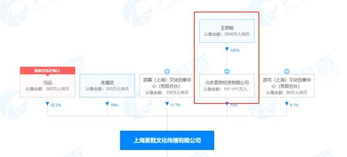 王思聰入股沉浸式游戲劇公司UMEPLAY 數字文化創意內容應用服務的新篇章